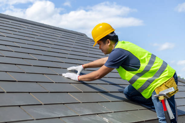 Best Local Roofing Companies  in Hazel Green, AL