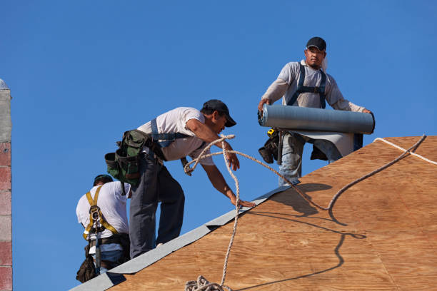 Best Local Roofing Companies  in Hazel Green, AL